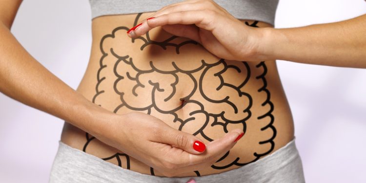 Gastroenterologistas dão dicas para evitar inflamações do intestino