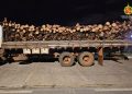 Crime ambiental: PM flagra transporte ilegal de madeira em área do DF