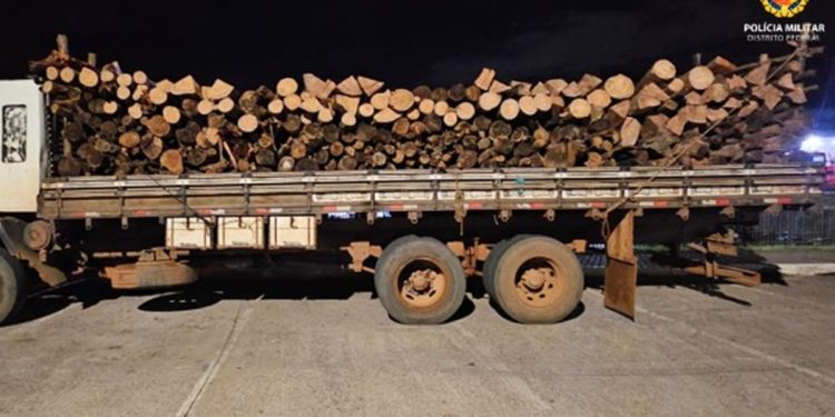 Crime ambiental: PM flagra transporte ilegal de madeira em área do DF
