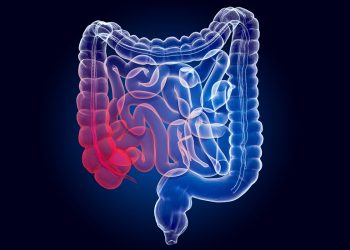 Cientistas encontram vírus no intestino ligado ao câncer colorretal