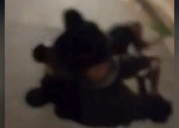 “Mãe, vou morrer” disse jovem de 19 anos após mata-leão em briga no DF