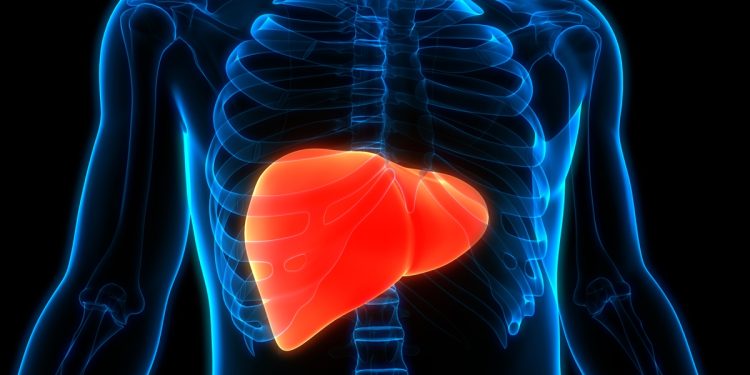 Hepatologista lista sinais de que você pode ter gordura no fígado