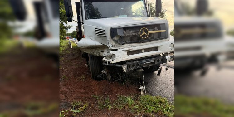 Acidente entre caminhão e carro na BR-020 deixa 2 mortos em Goiás. Veja vídeo