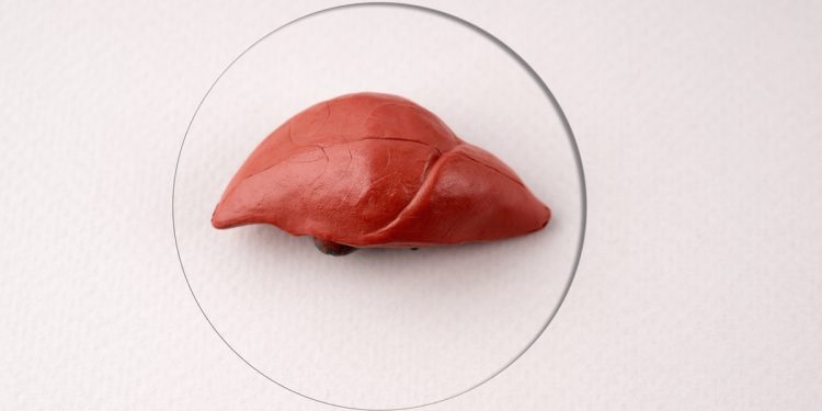 Hepatologista explica os sinais silenciosos da gordura no fígado