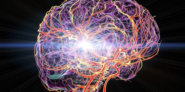 Médico conta como aumentar naturalmente os níveis de dopamina