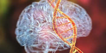 Estudo descobre base genética comum entre 14 transtornos mentais