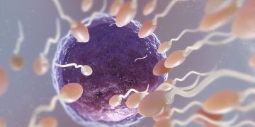 Urologista aponta quais hábitos prejudicam a qualidade dos espermas