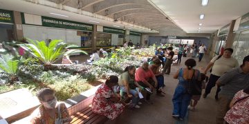 Pacientes relatam demora extrema em Farmácia de Alto Custo no DF: “Caótico”. Veja vídeo