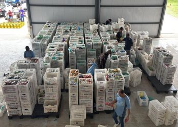 Supercopa: Flamengo x Corinthians na Arena BRB arrecadou 14 toneladas de alimentos