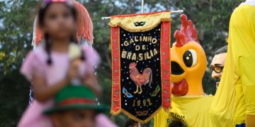 Galinho encanta famílias e arrasta multidão no Carnaval do DF. Veja vídeo