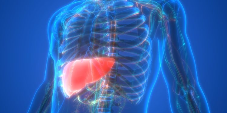 Endocrinologista ensina como eliminar gordura no fígado rapidamente