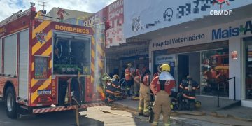 Cães, gatos e coelho são resgatados de clínica veterinária em chamas no DF. Veja vídeo