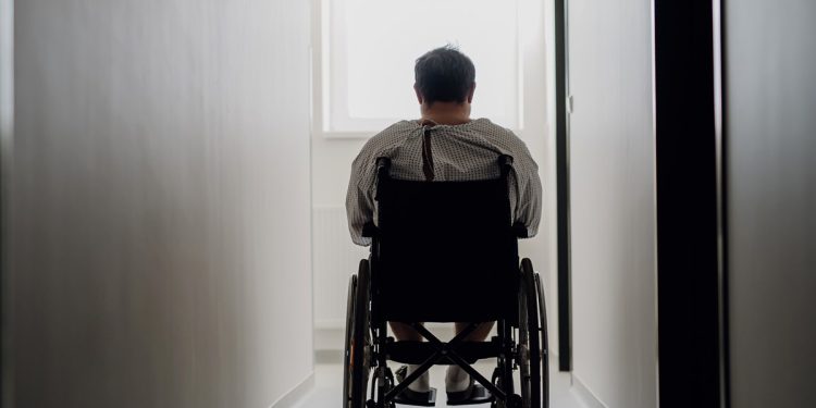 Cientista que quer curar paraplegia é homenageada em projeto de lei sobre pesquisas