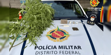Vovô da erva: idoso guardava meio quilo de maconha dentro de geladeira