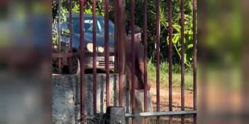 Vizinho ameaçou morador em condomínio no DF: “Vamos ver se tu é homem”. Veja vídeo