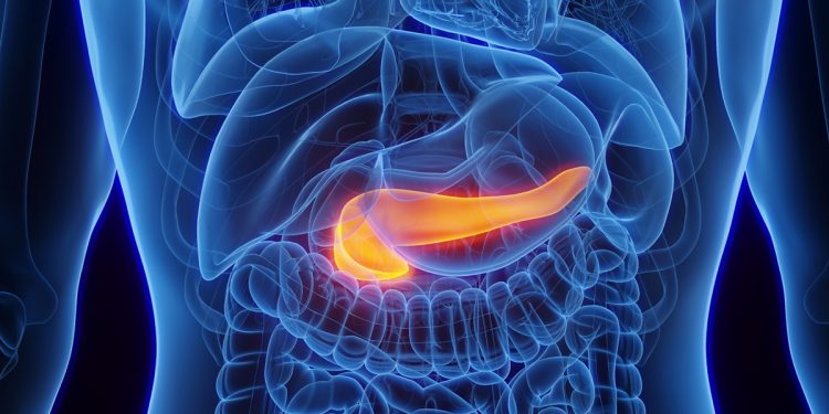 Gastroenterologista lista quais são os sintomas de pâncreas inflamado