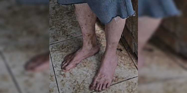 Idoso é resgatado pela polícia após ser abandonado com 15 cães no DF