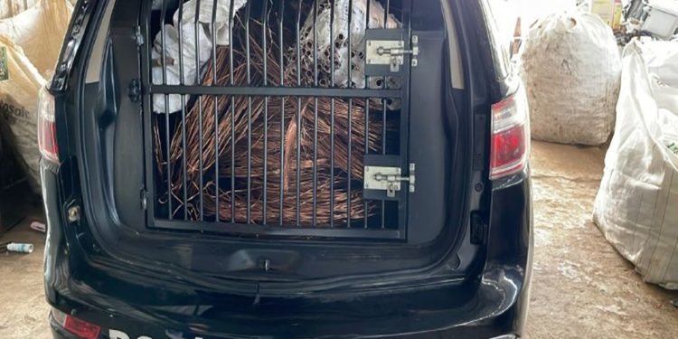 PCDF lança canal exclusivo para denúncias de roubo de cabos de energia