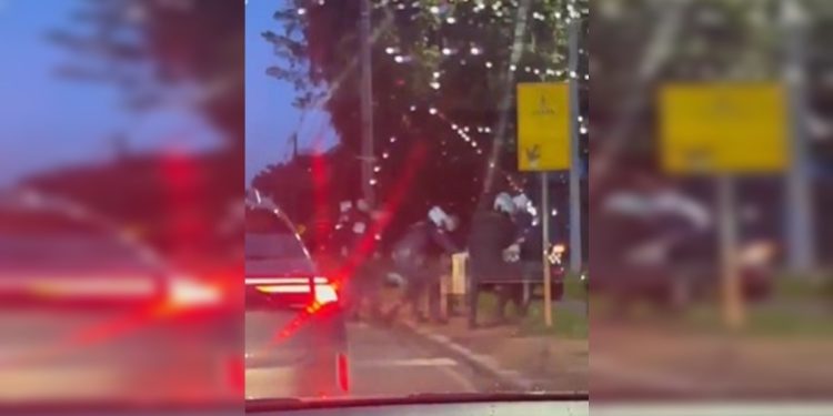 Homem fica pelado no meio da rua e paralisa trânsito em região do DF. Veja vídeo