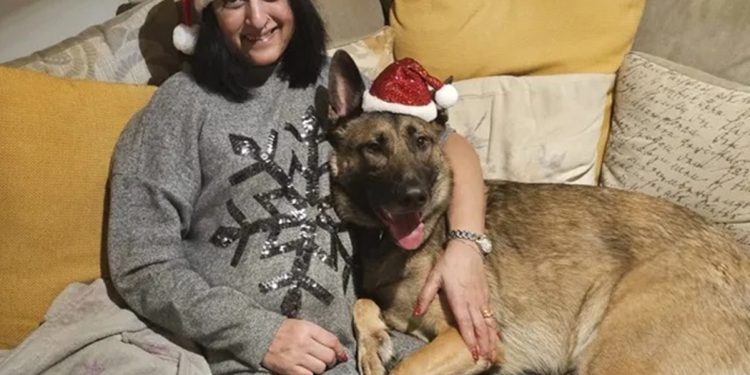 Mulher perde pés e mãos após sepse causada por lambida de cachorro