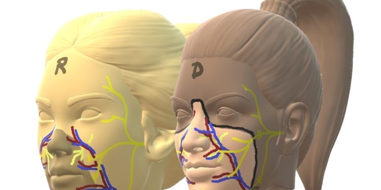 1º transplante de rosto do mundo usa doadora que optou por eutanásia