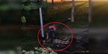 Homem é preso no DF após roubar relógio de bêbado desacordado na rua. Veja vídeo