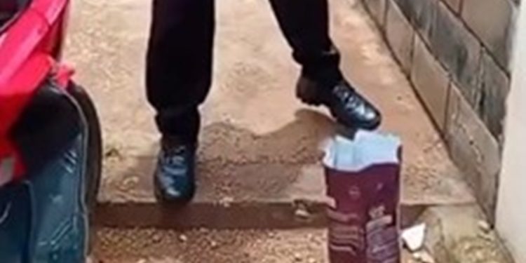 Homem é investigado por impedir alimentação de gatos comunitários