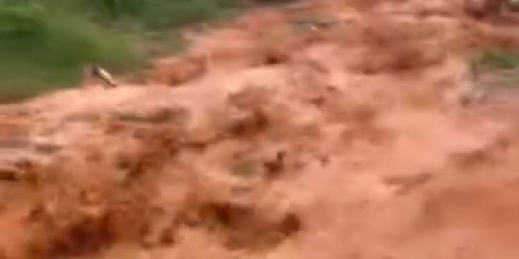 Pais se desesperam com enxurrada e retiram crianças de casa no DF. Veja vídeo