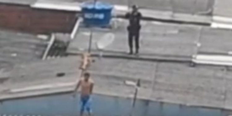 Agressor sobe em telhado para fugir da polícia após bater na esposa. Veja vídeo