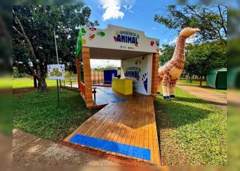 Zoológico de Brasília lança exposição imersiva e sensorial; entenda