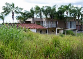 DF registra 350 reclamações de áreas abandonadas, com cobras e matagal. Veja vídeo