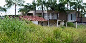 DF registra 350 reclamações de áreas abandonadas, com cobras e matagal. Veja vídeo