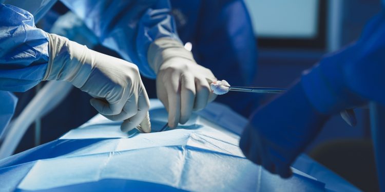 Fígado de porco mantém paciente vivo até transplante de órgão humano