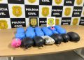 Operação apreende 30 kg de haxixe e skunk avaliados em R$ 1 milhão