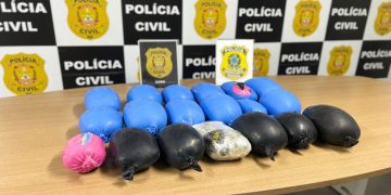 Operação apreende 30 kg de haxixe e skunk avaliados em R$ 1 milhão