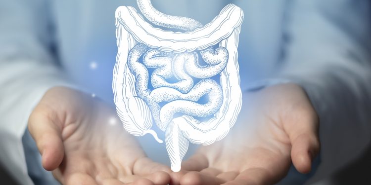 Coloproctologista esclarece principais sinais do câncer de intestino