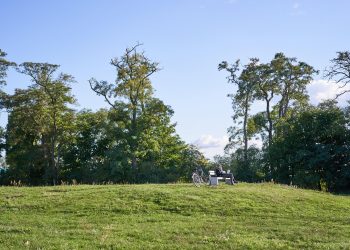 Spike, o cacto: o primeiro de seu nome