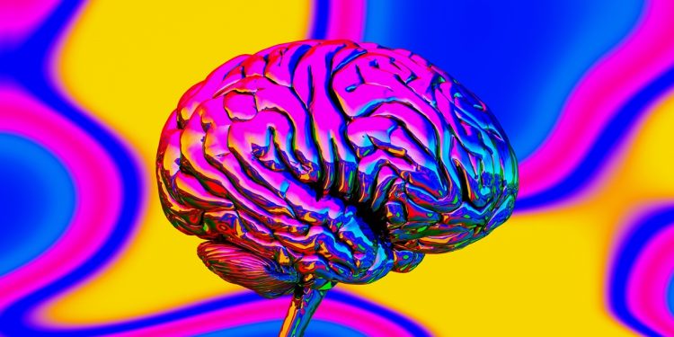 Bactéria intestinal pode estar ligada à perda de memória, diz estudo