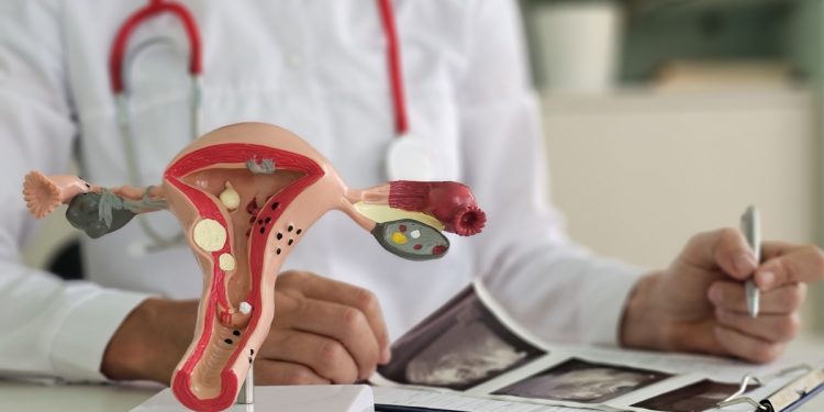 Além do sistema reprodutor: por que é importante ir ao ginecologista