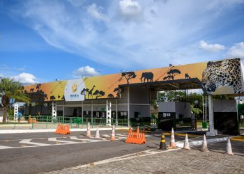 Mulheres terão entrada gratuita no Zoológico de Brasília no sábado (7)