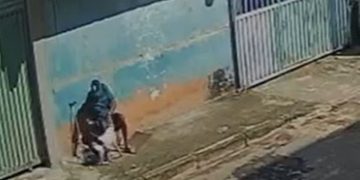 Homem é detido acusado de zoofilia e agressão a cadela no DF. Veja vídeo