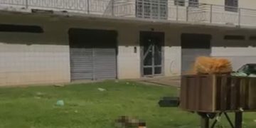 Animais decapitados e jogados no lixo no DF podem ter sido mutilados em ritual