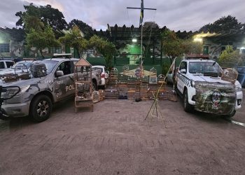PMDF apreende um jabuti e 37 aves silvestres criados ilegalmente. Veja vídeo