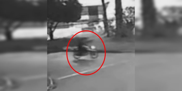 Câmera mostra ação de criminoso que matou dois homens em bar no DF. Veja vídeo