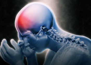 Estudo sugere que baço influencia na recuperação de pacientes com AVC