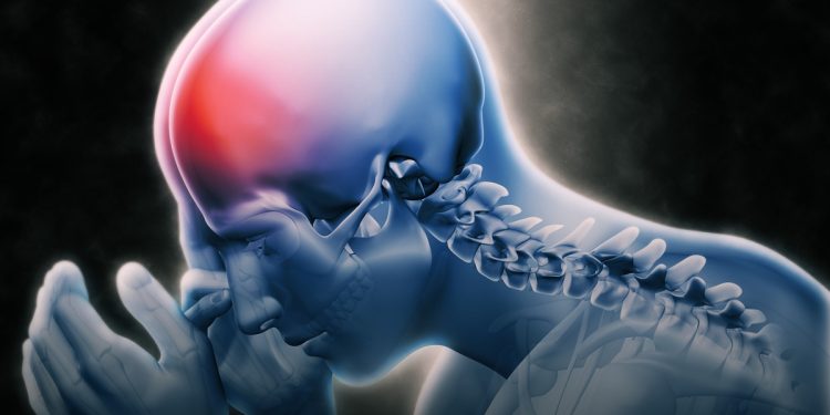 Estudo sugere que baço influencia na recuperação de pacientes com AVC