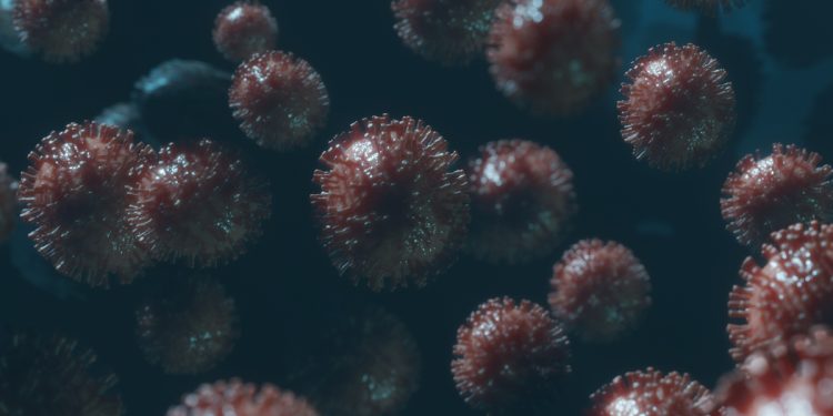 Bactéria resistente a antibióticos sai de hospitais e circula em SP