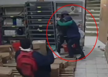 Ladrões comemoram furto e esquecem arma após invadir loja no DF. Veja vídeo