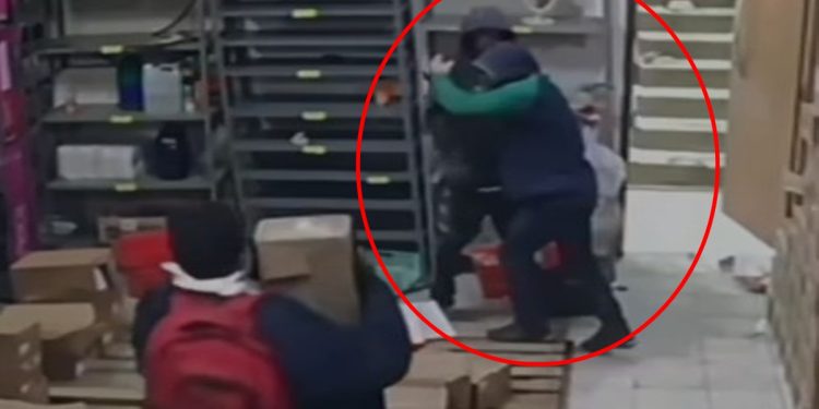 Ladrões comemoram furto e esquecem arma após invadir loja no DF. Veja vídeo