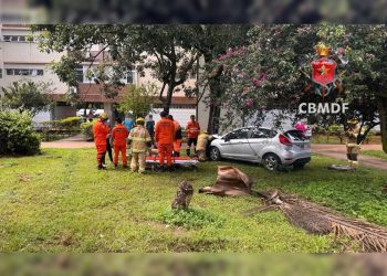 Homem fica ferido após carro bater em árvore na Asa Sul